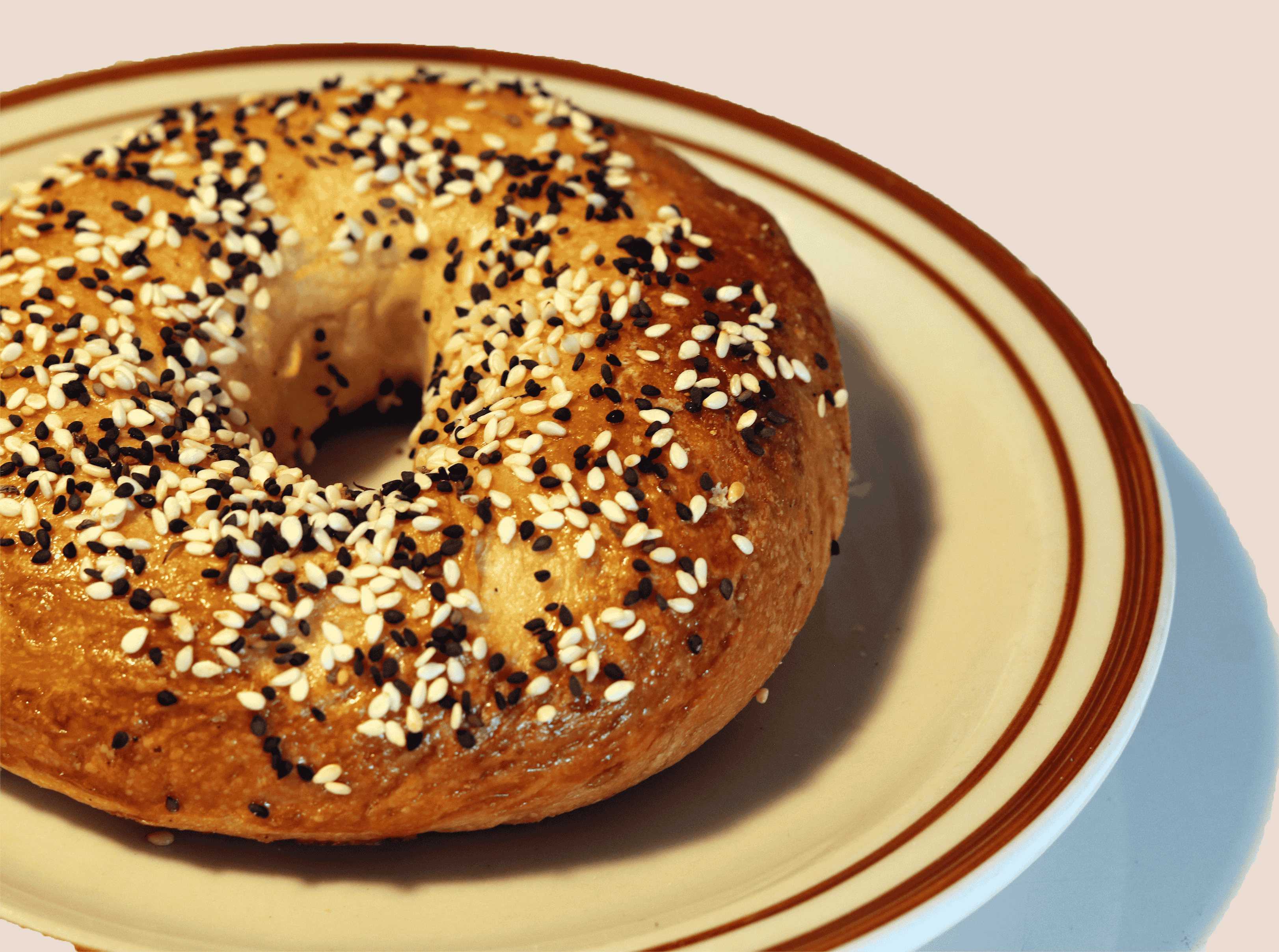 Everything Bagel