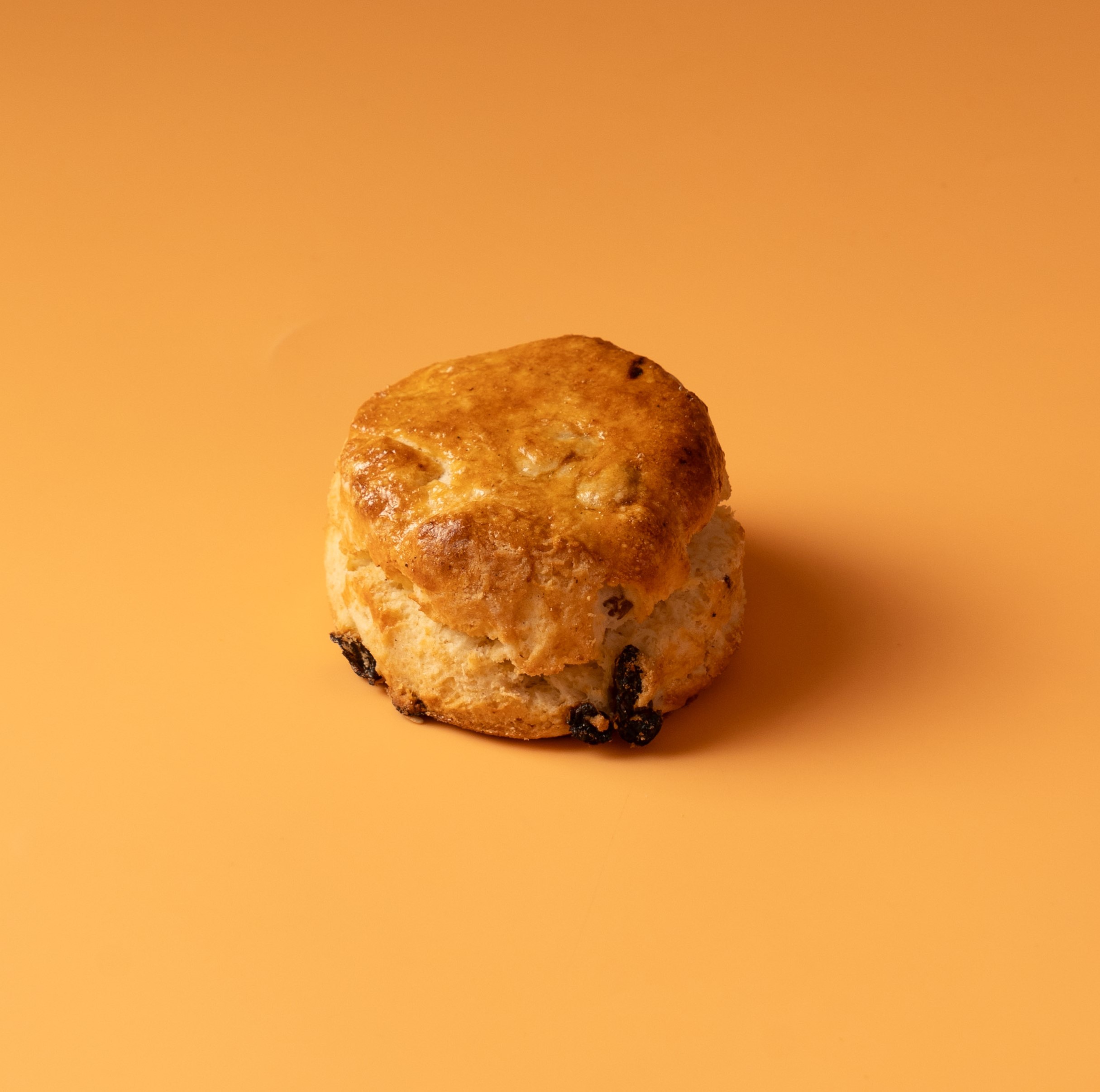 Raisin Scone